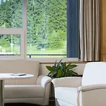 Orea Horizont Sumava فندق