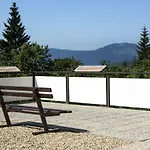 فندق Orea Horizont Sumava 4*