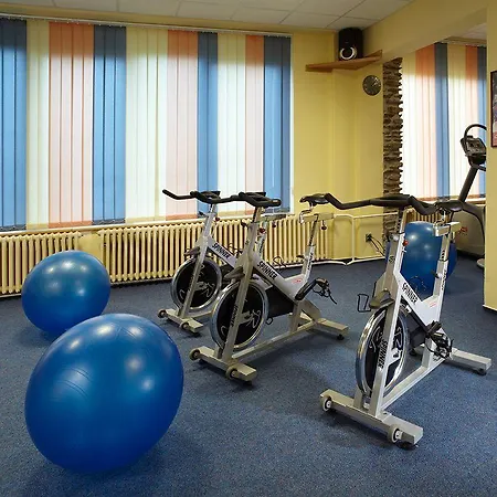 Orea Horizont Sumava Hotel Zelezna Ruda