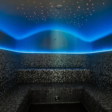 Orea Horizont Sumava ホテル 4*
