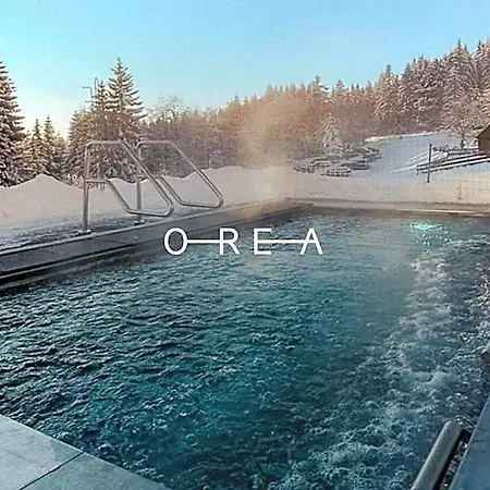 Orea Horizont Sumava Hotel