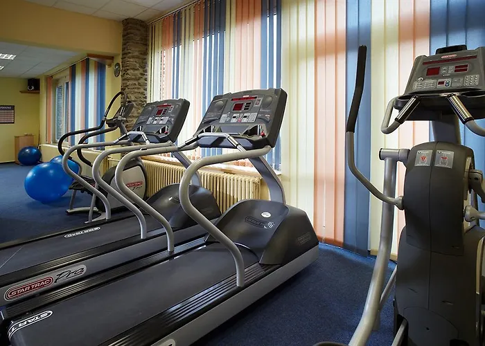 Orea Horizont Sumava Hotel Zelezna Ruda