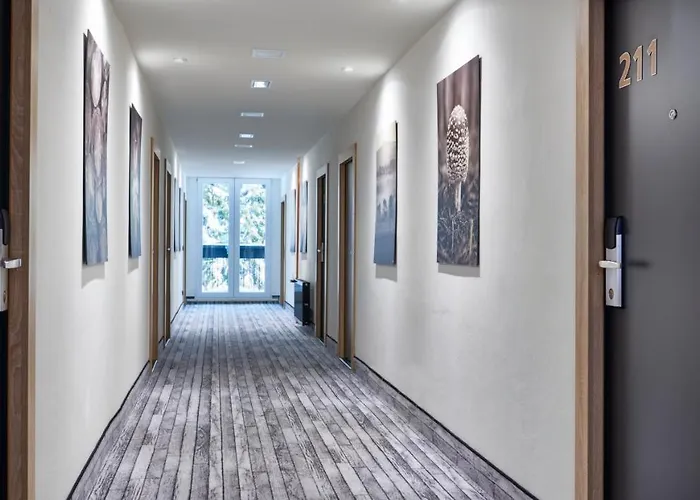 Orea Horizont Sumava Zelezna Ruda